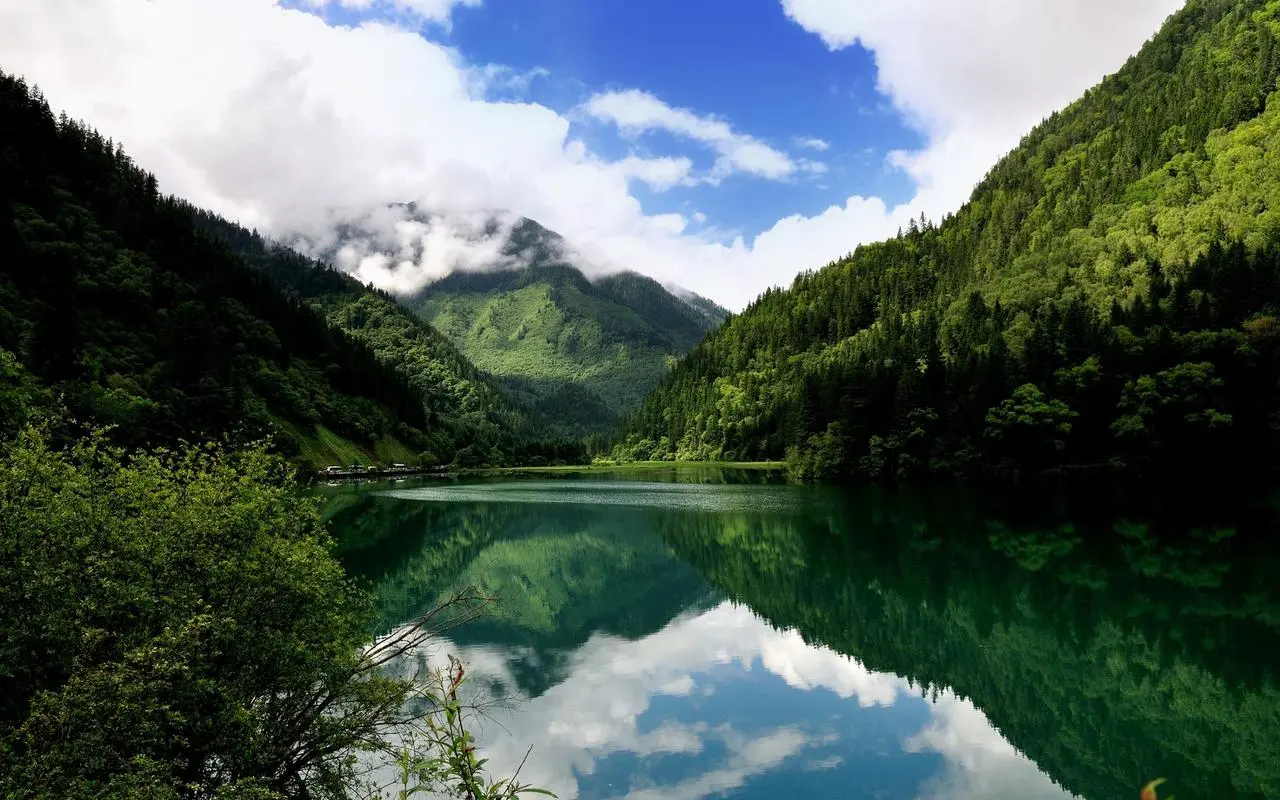 高效智能